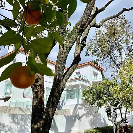 公寓 Nuevo Los Almendros 203 Complejo Turistico